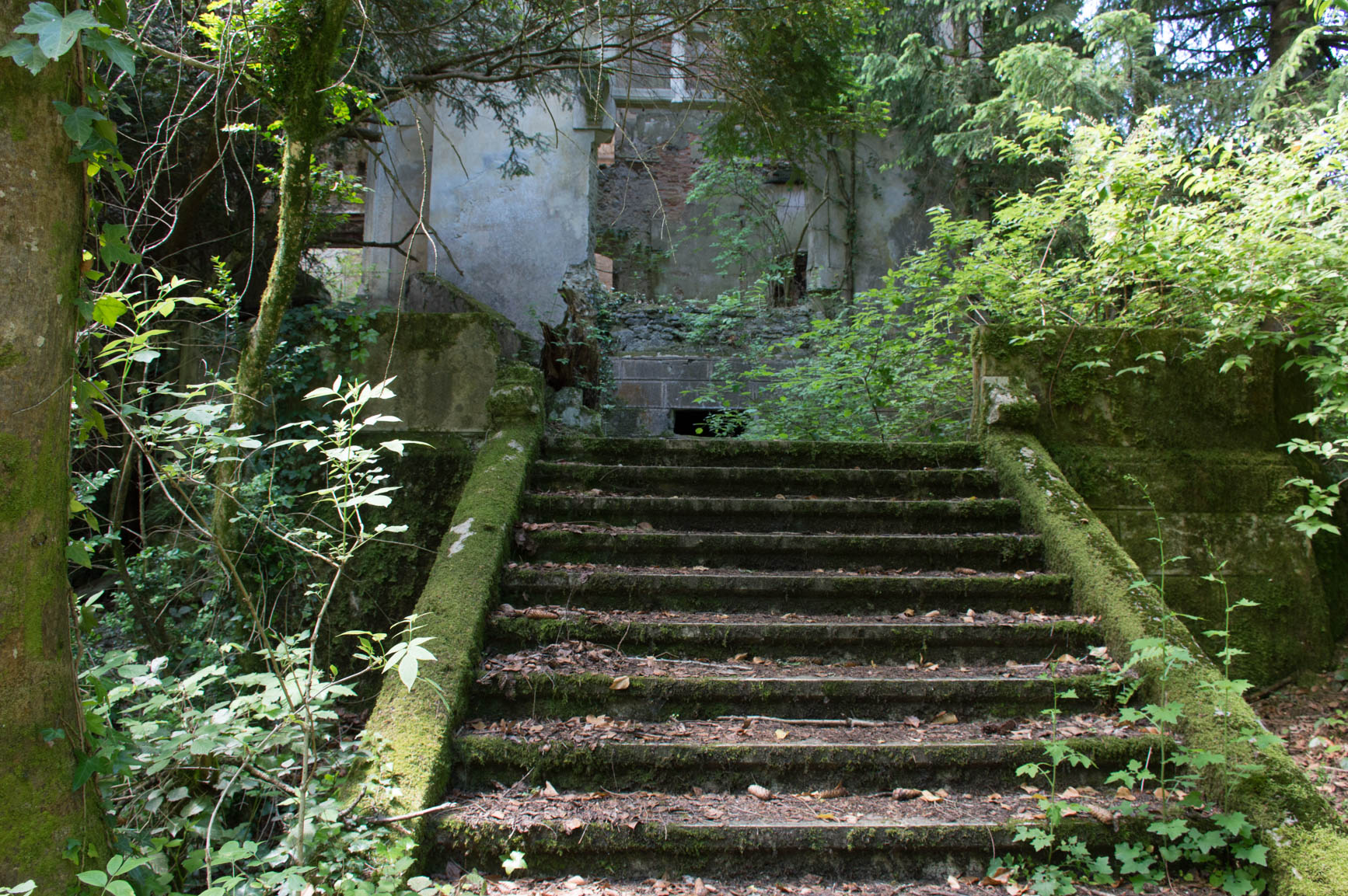 Château de SaintSixte Bienvenue sur PicsParadise